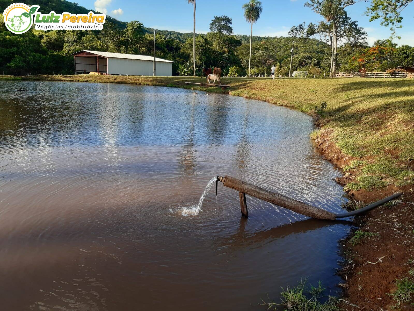 Terreno à venda, 830000m² - Foto 25