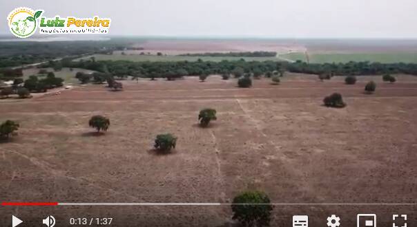 Fazenda à venda, 14520000m² - Foto 3