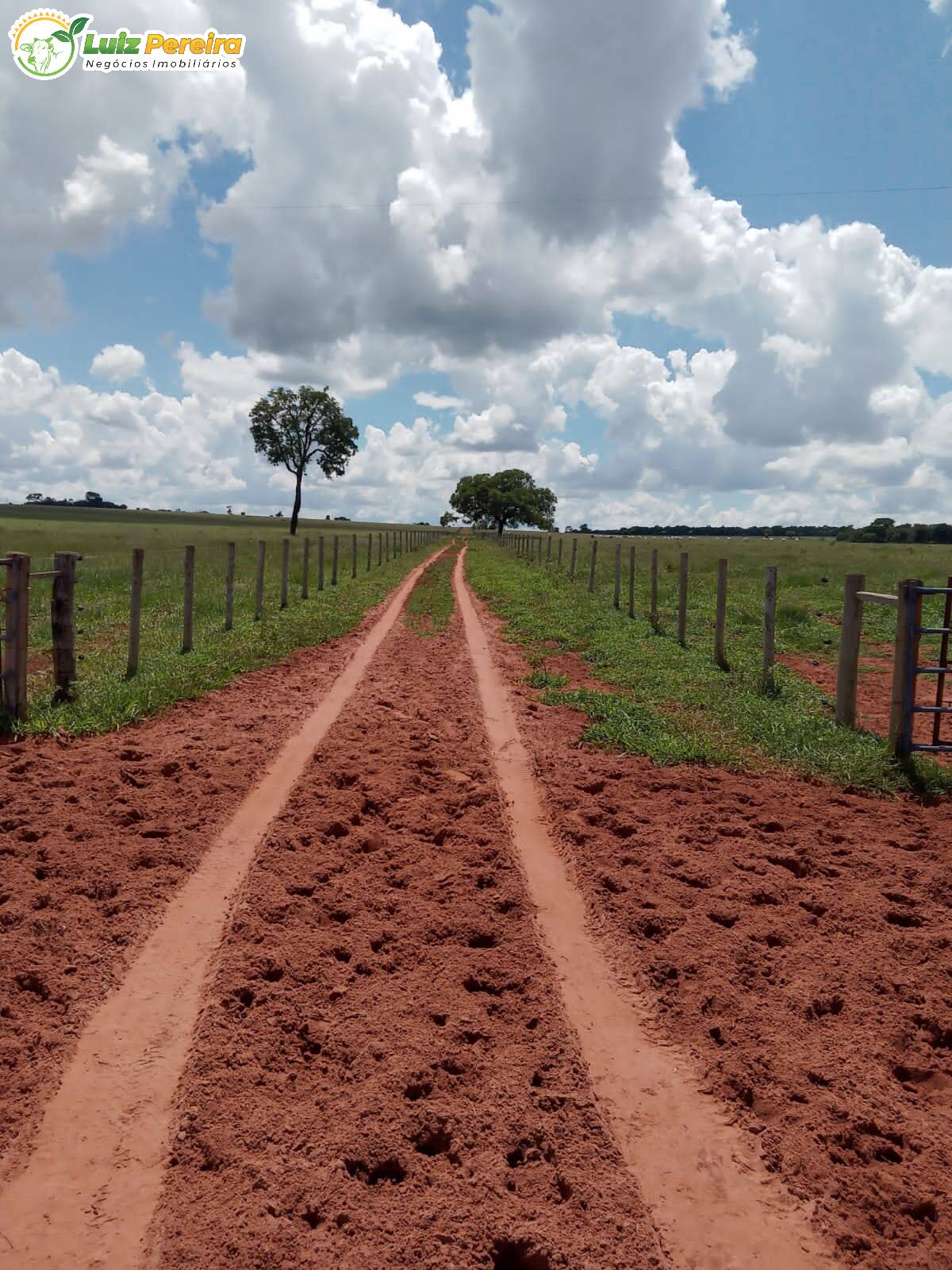 Fazenda à venda, 3400000m² - Foto 23