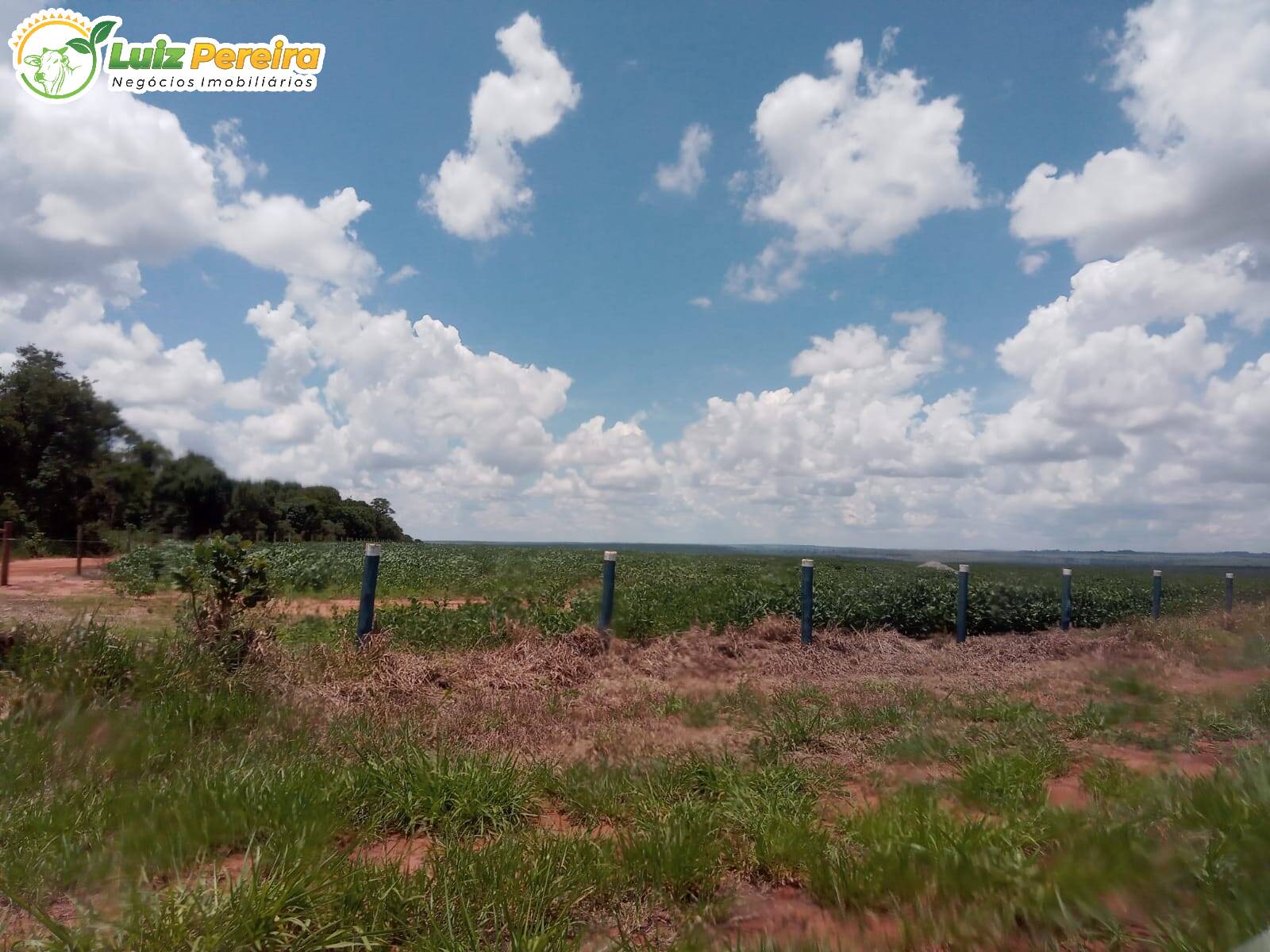 Fazenda à venda, 3400000m² - Foto 13