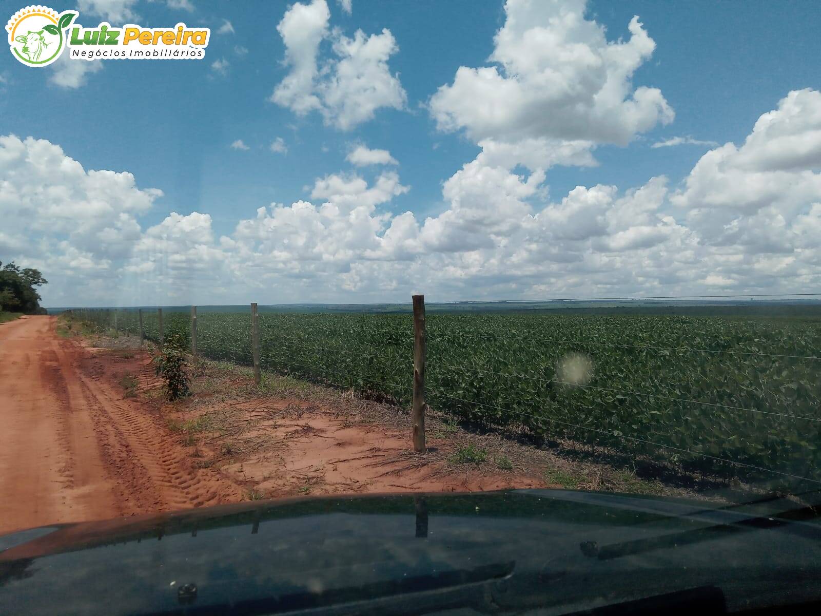 Fazenda à venda, 3400000m² - Foto 11