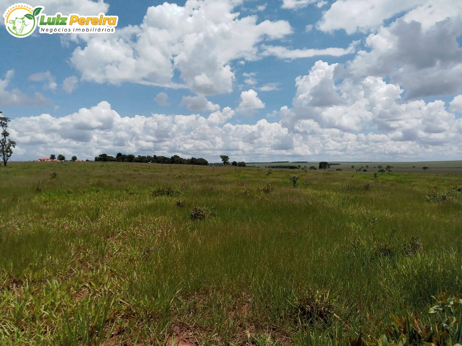 Fazenda à venda, 3400000m² - Foto 4