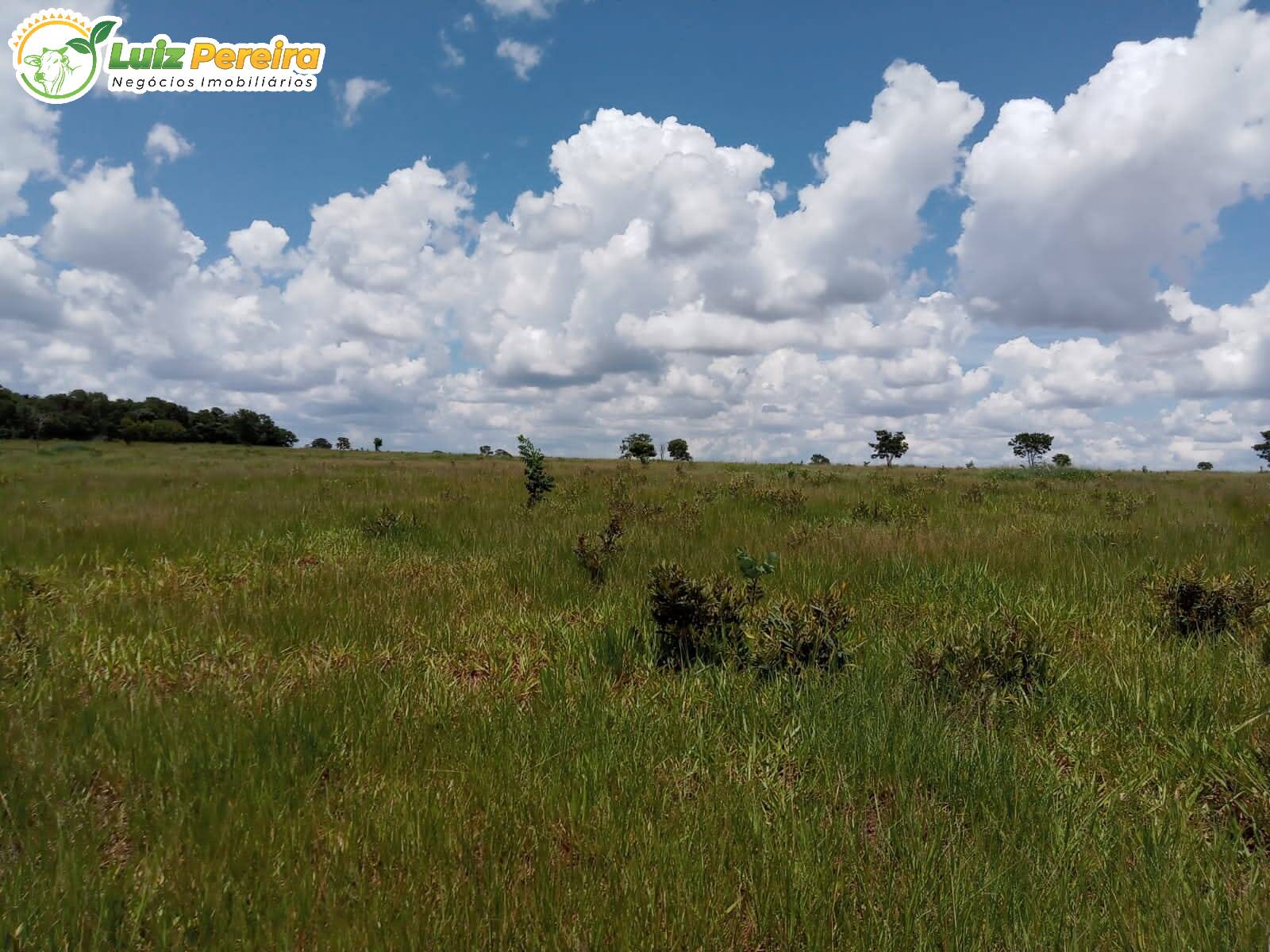 Fazenda à venda, 3400000m² - Foto 3