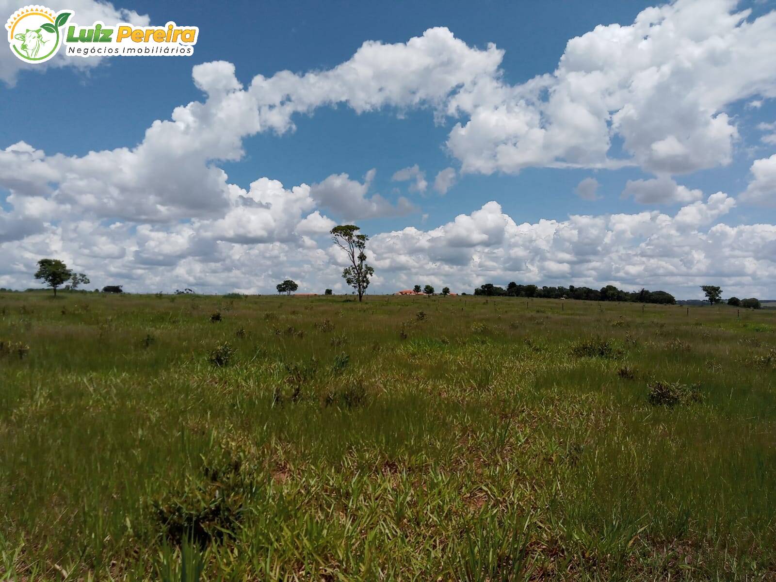 Fazenda à venda, 3400000m² - Foto 6