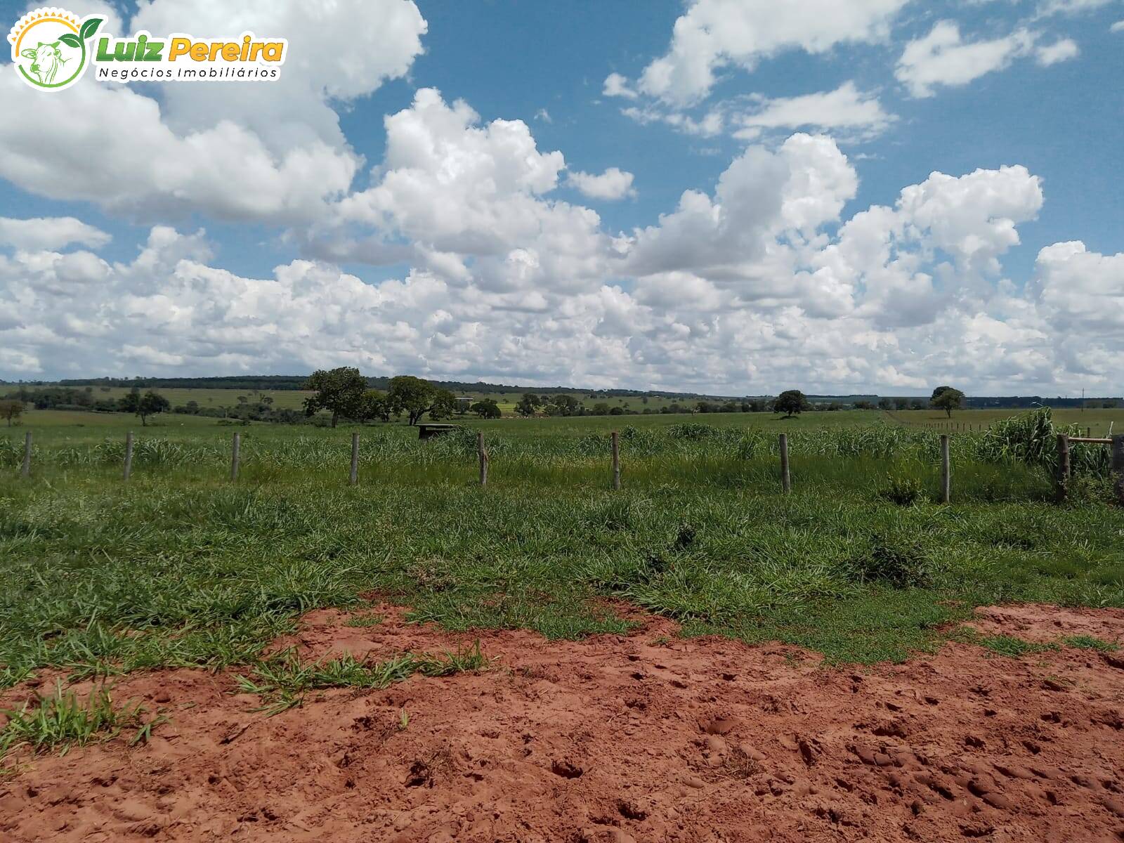 Fazenda à venda, 3400000m² - Foto 21