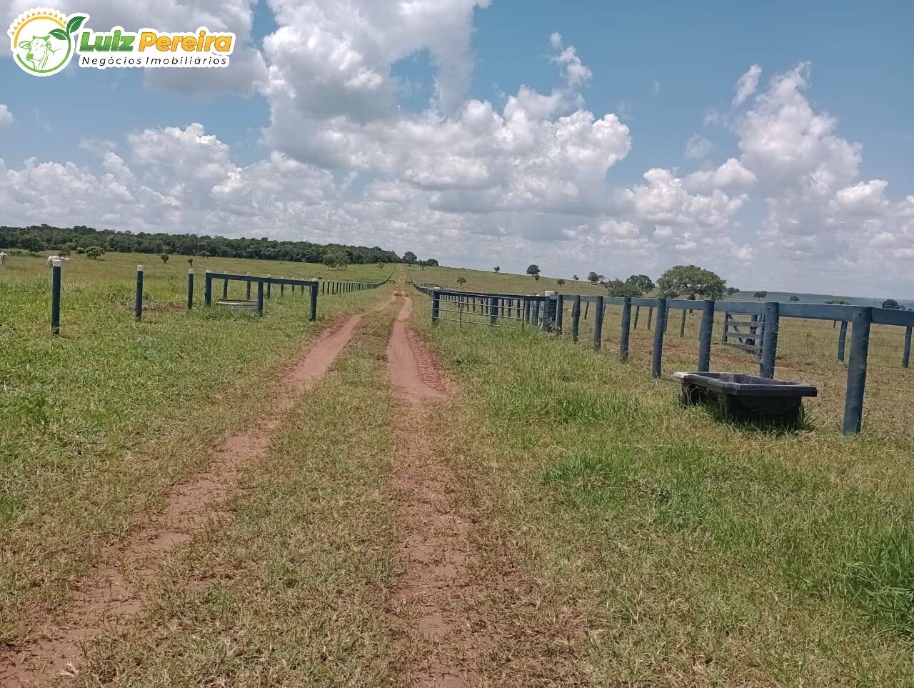 Fazenda à venda, 3400000m² - Foto 2