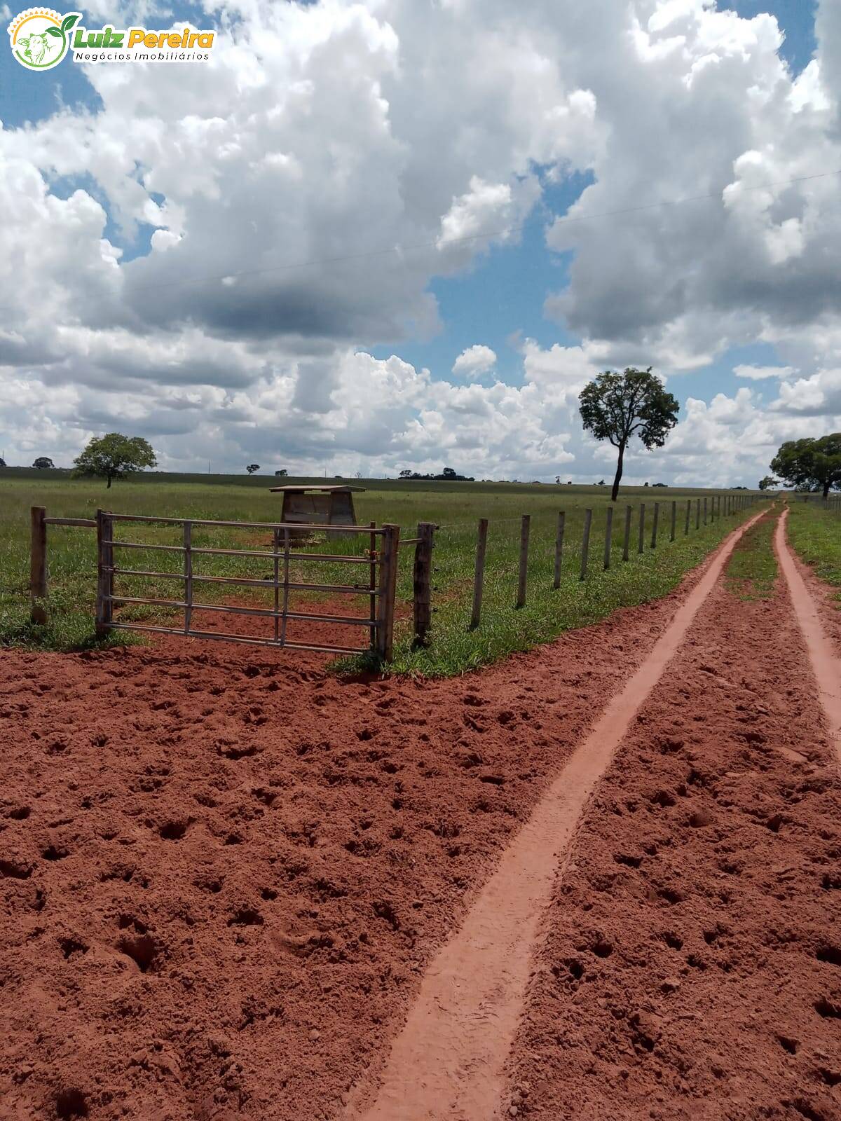 Fazenda à venda, 3400000m² - Foto 24