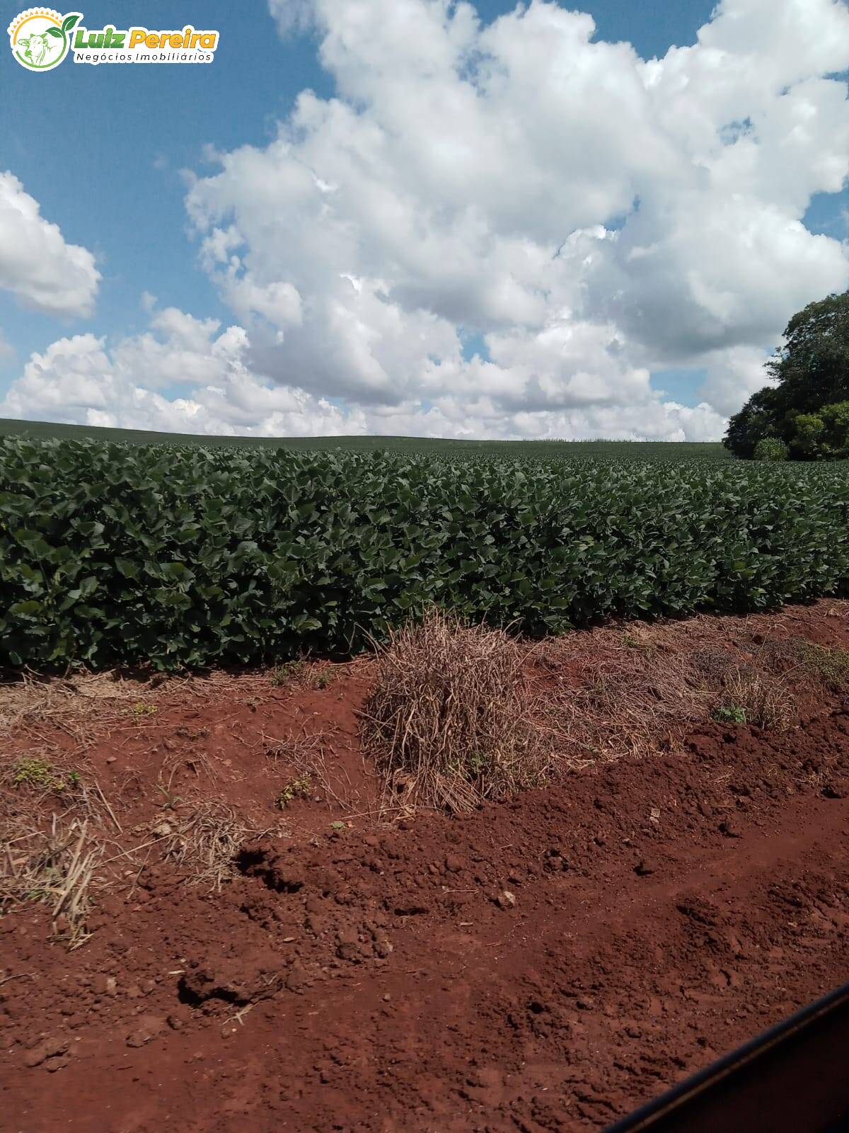 Fazenda à venda, 3400000m² - Foto 26