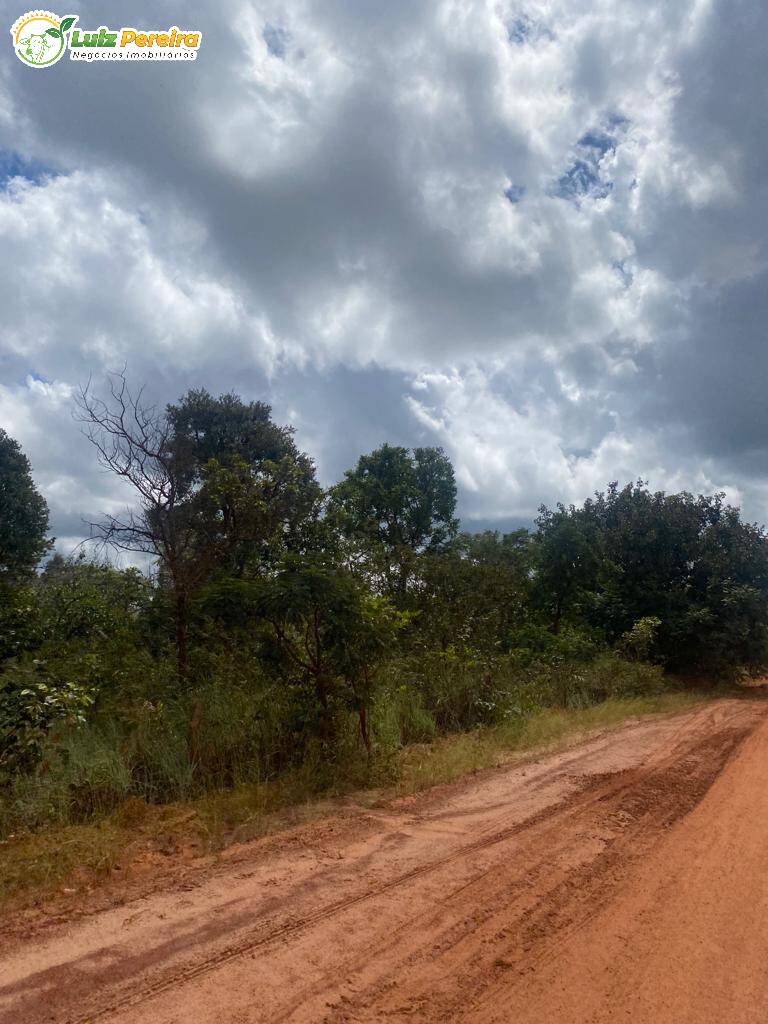 Fazenda à venda, 21200000m² - Foto 9