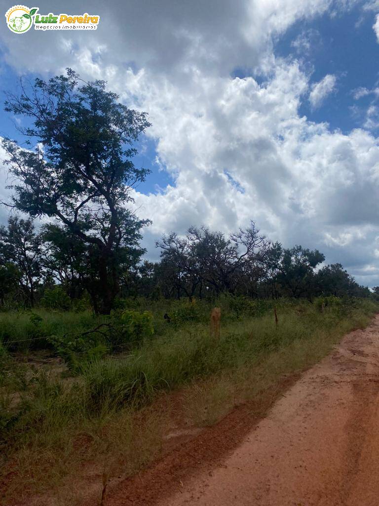 Fazenda à venda, 21200000m² - Foto 10