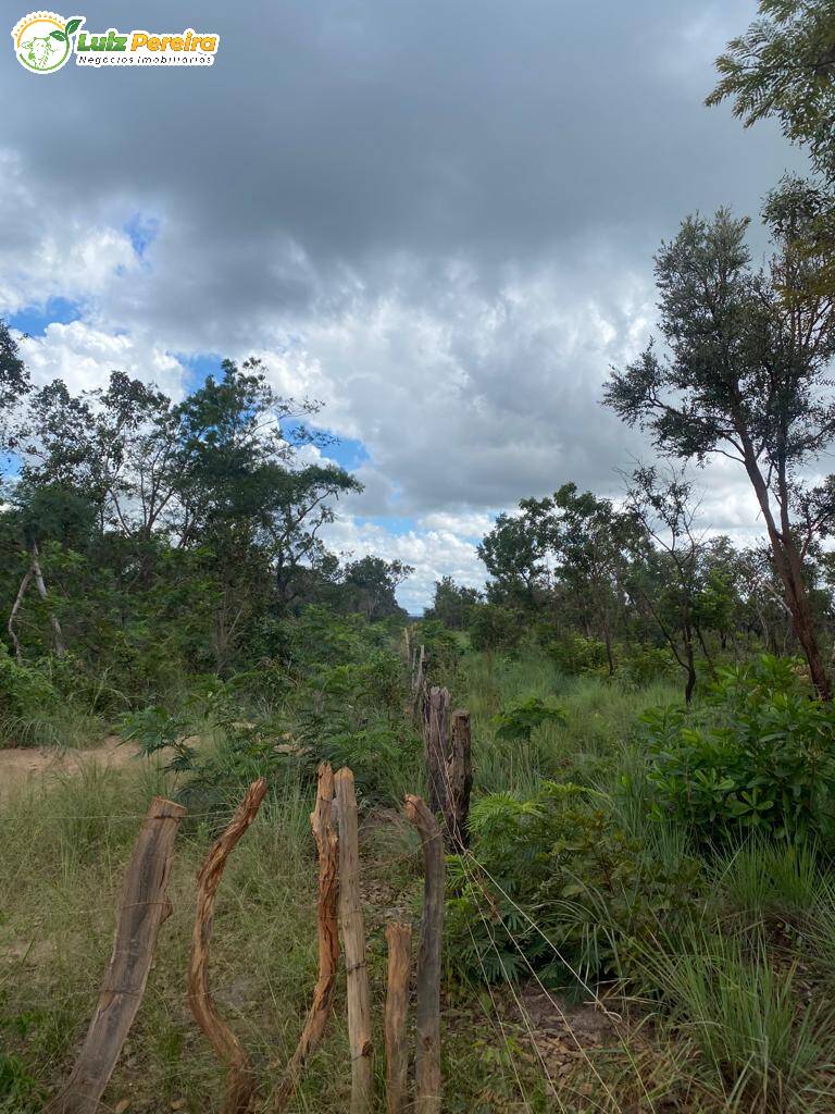 Fazenda à venda, 21200000m² - Foto 7