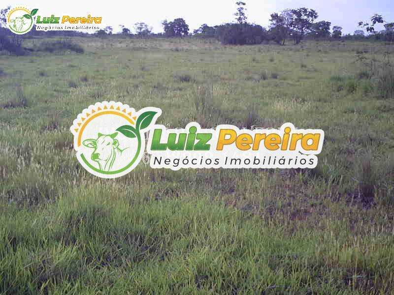 Fazenda à venda, 9400000m² - Foto 5