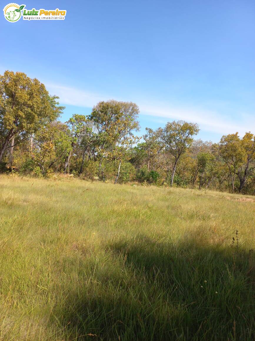 Fazenda à venda, 8712000m² - Foto 5