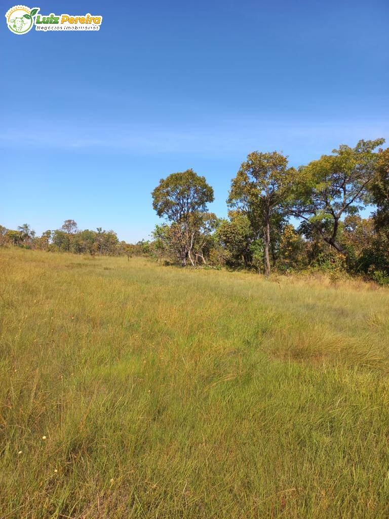 Fazenda à venda, 8712000m² - Foto 3