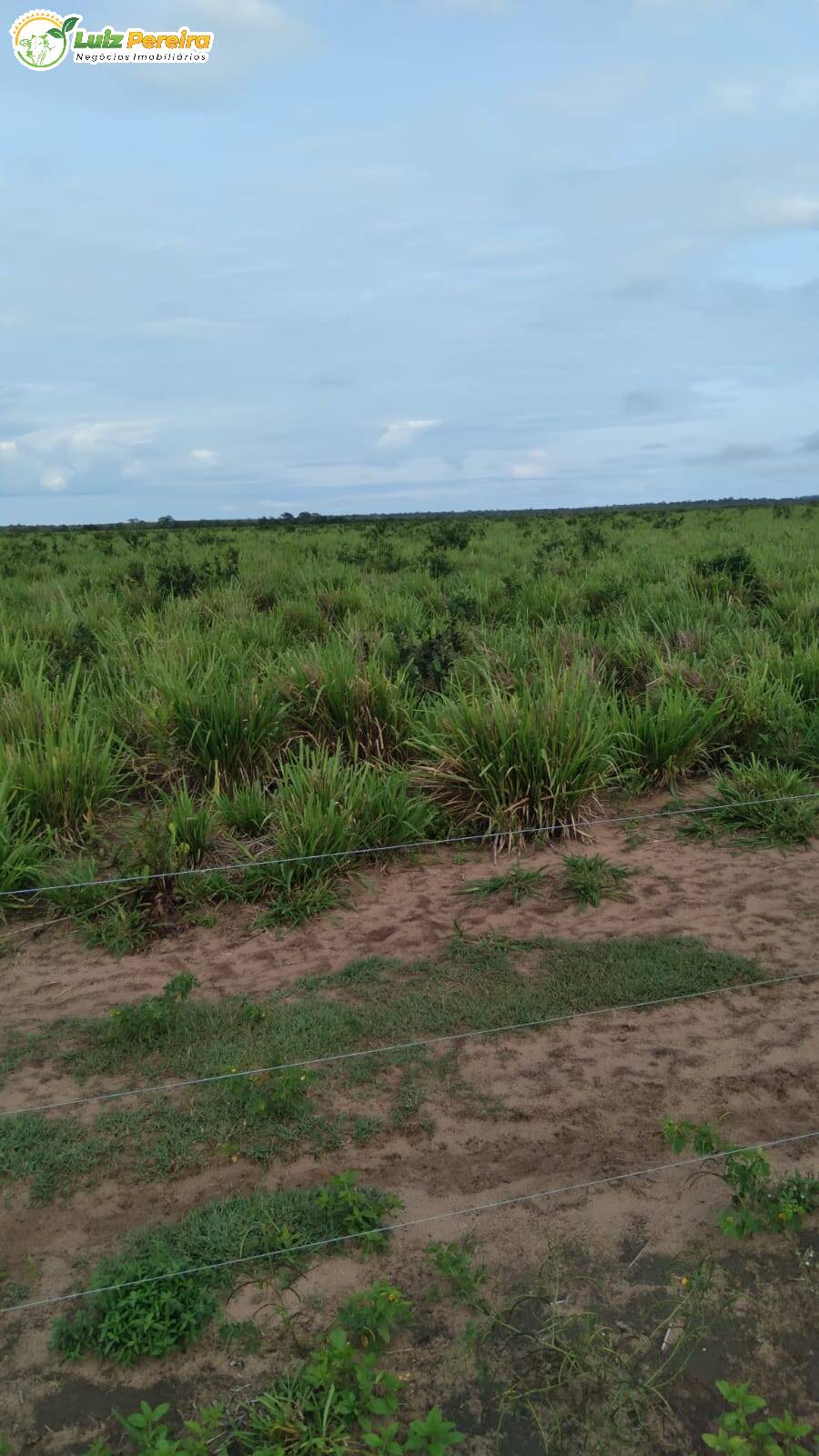 Fazenda à venda, 12100000m² - Foto 6