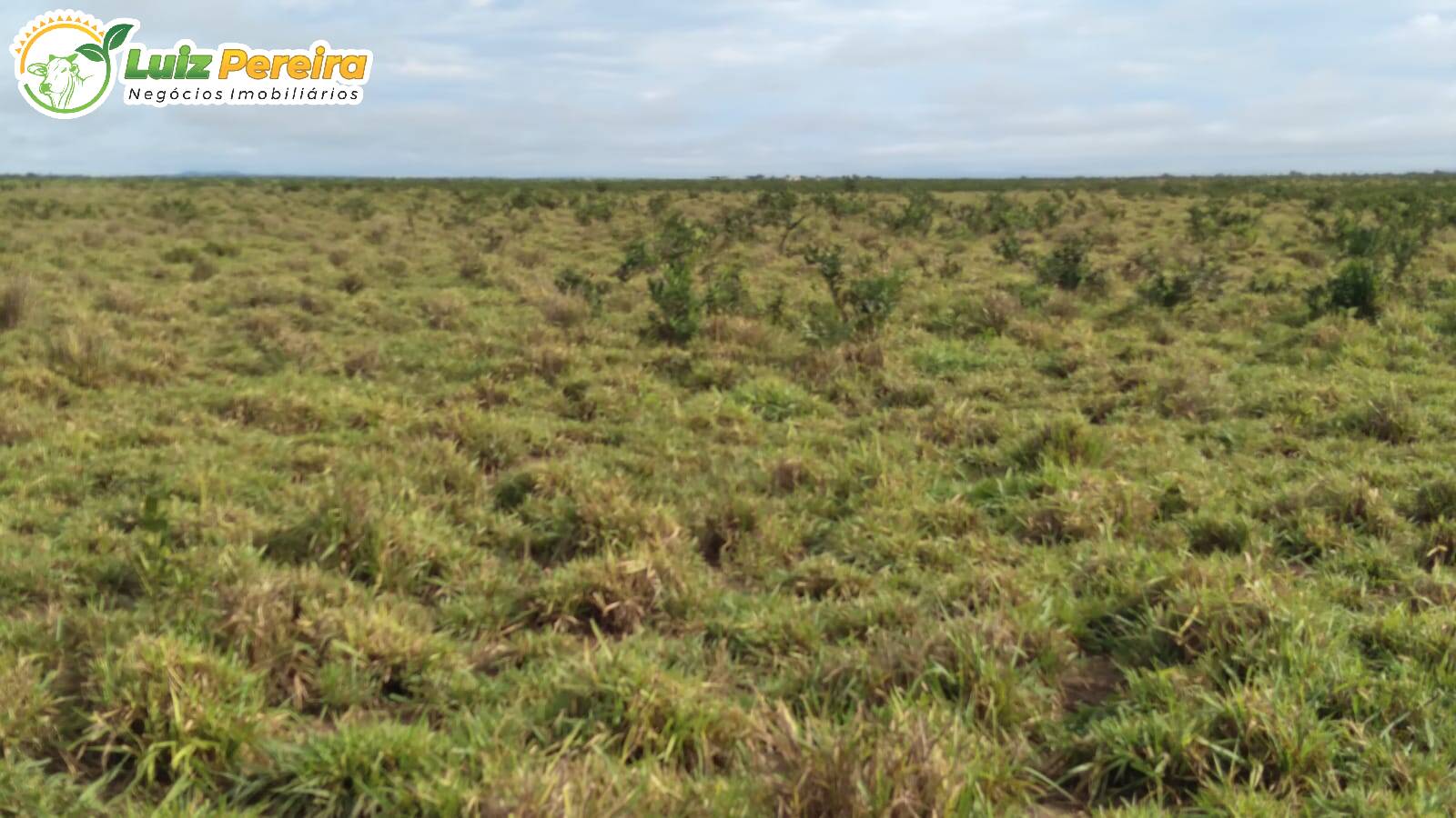 Fazenda à venda, 12100000m² - Foto 8