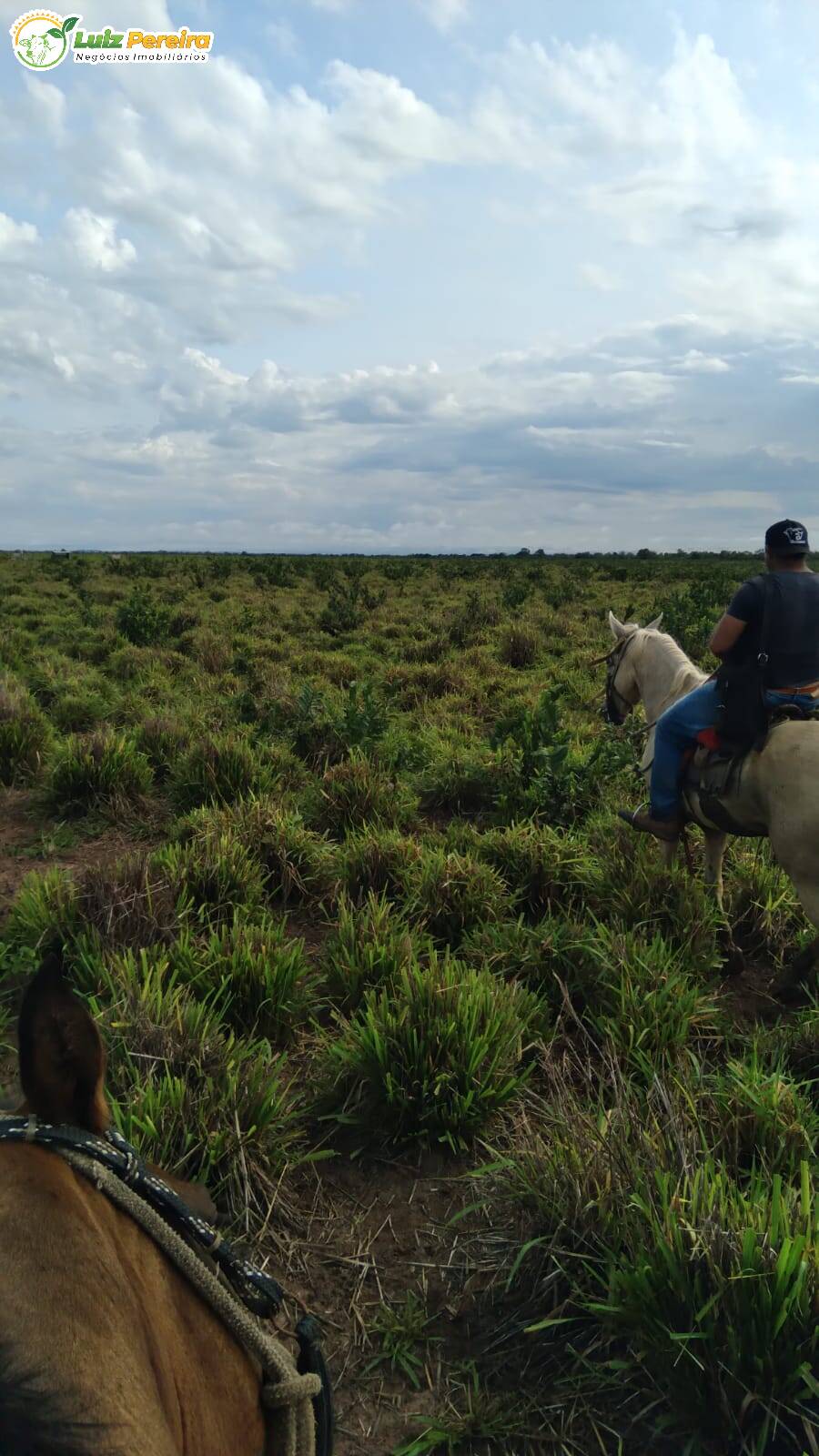 Fazenda à venda, 12100000m² - Foto 7