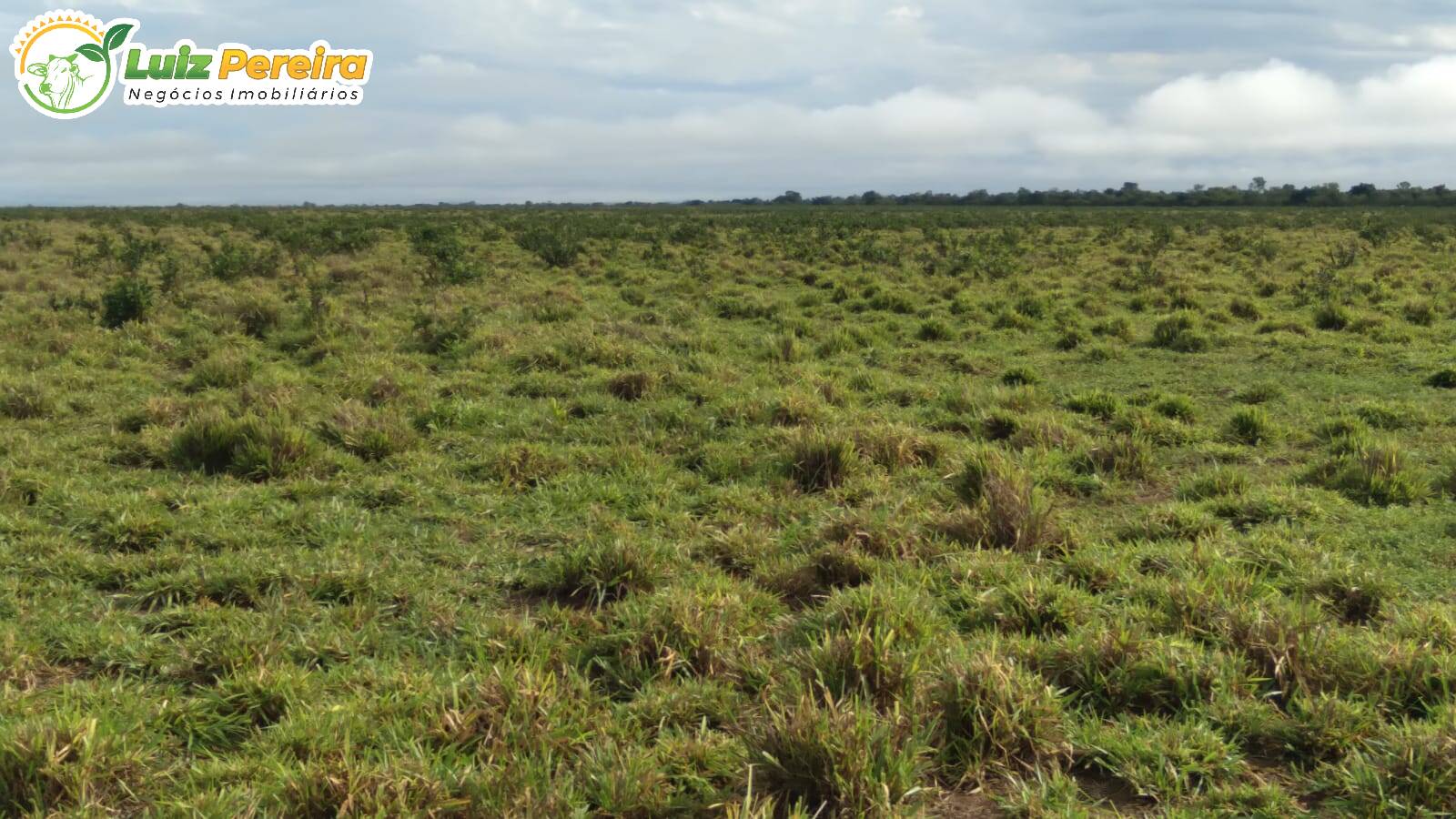 Fazenda à venda, 12100000m² - Foto 4