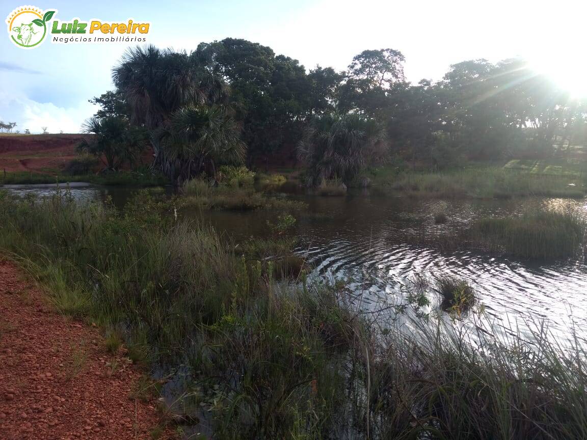 Fazenda à venda, 4514500m² - Foto 7