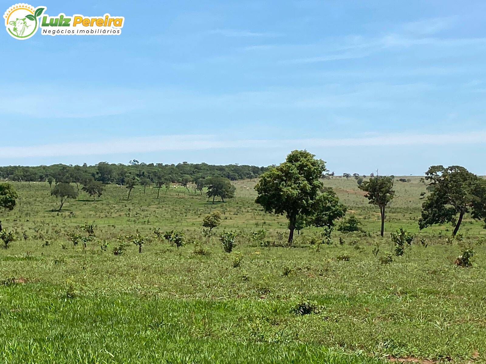 Fazenda à venda, 4514500m² - Foto 5