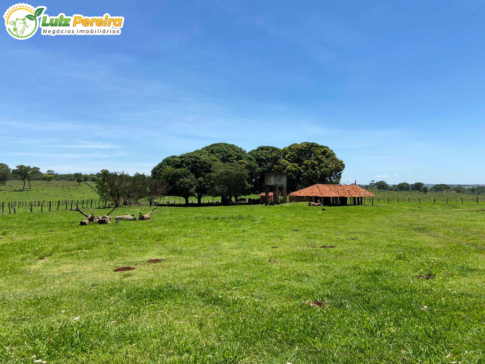 Fazenda à venda, 4514500m² - Foto 8