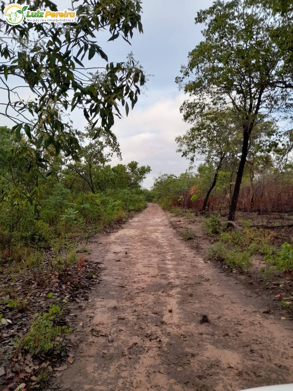 Terreno à venda, 4700000m² - Foto 5