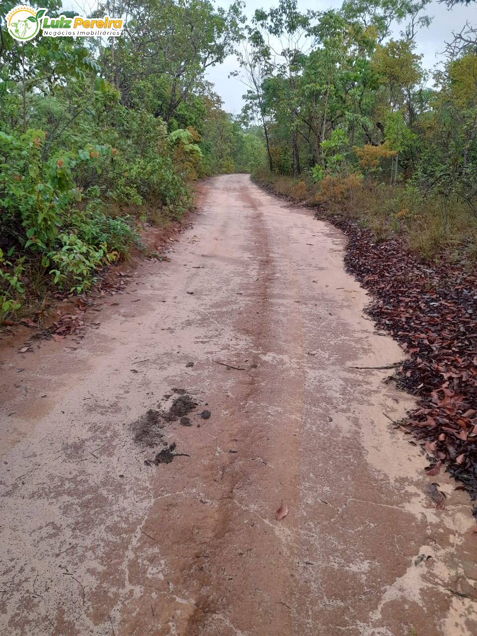 Terreno à venda, 4700000m² - Foto 7