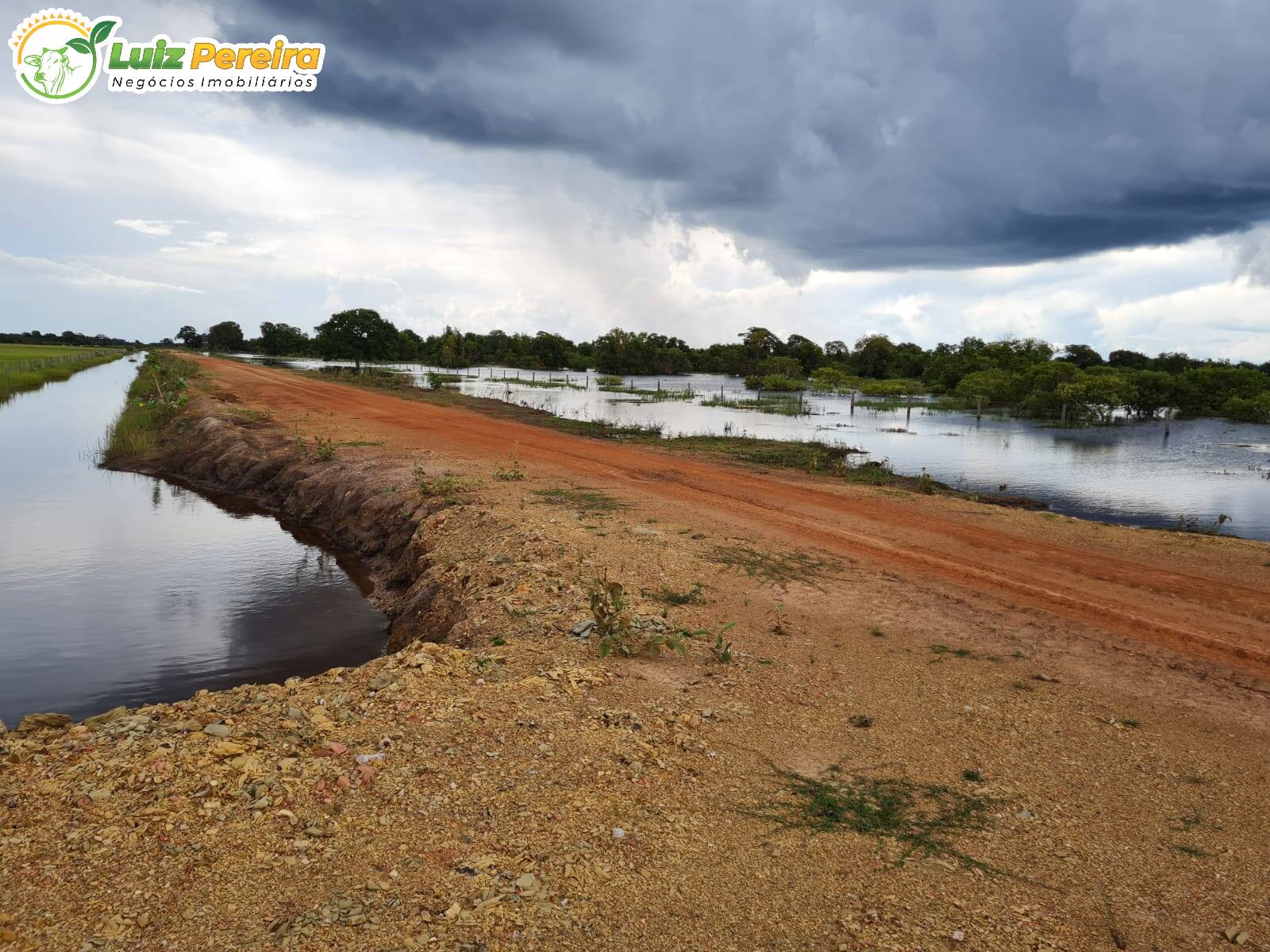 Fazenda à venda, 10000000m² - Foto 3