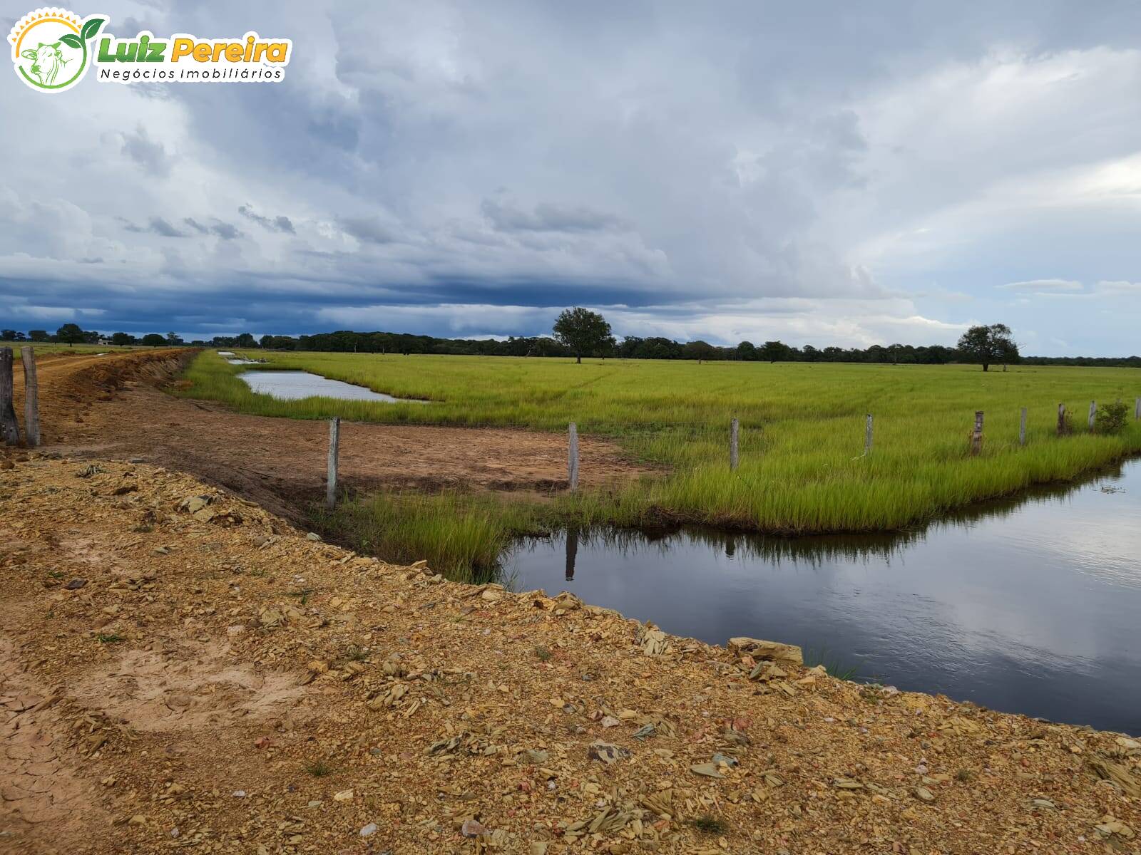 Fazenda-Sítio-Chácara, 1000 hectares - Foto 4