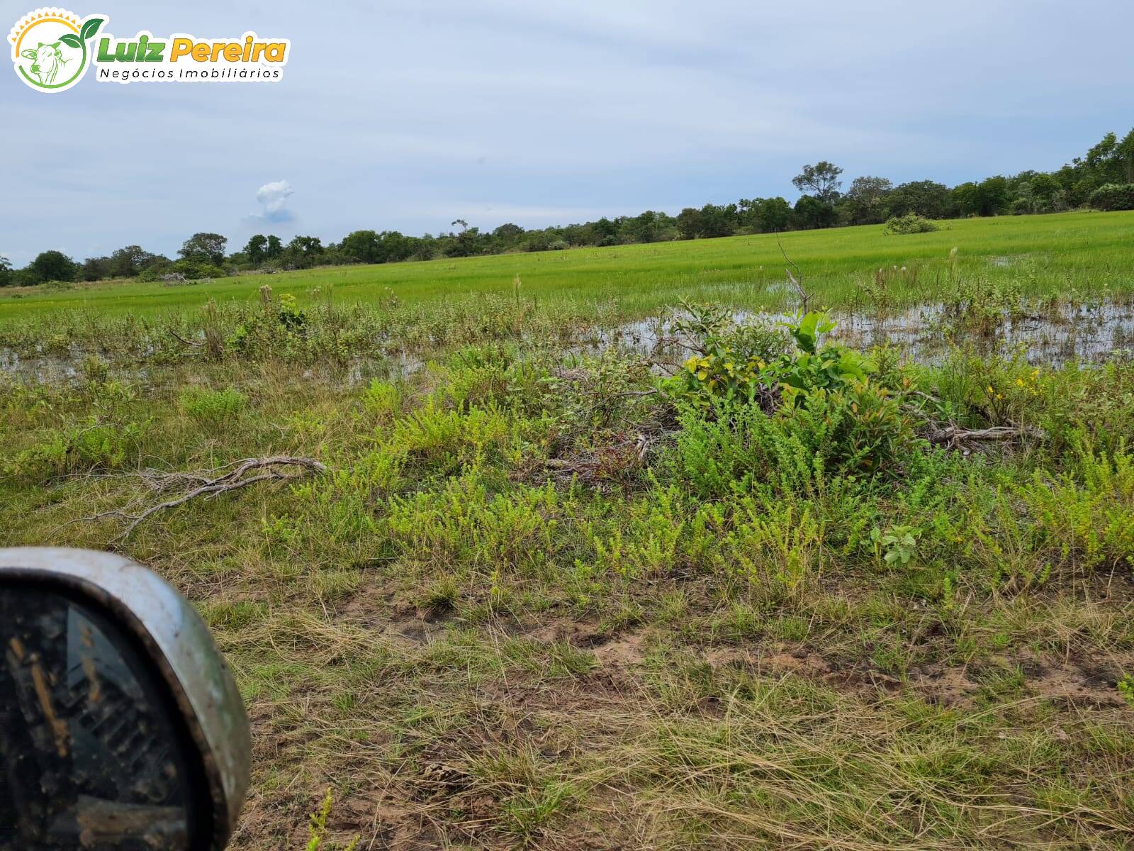 Fazenda à venda, 10000000m² - Foto 6