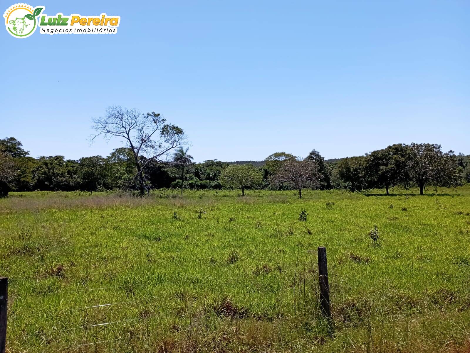 Fazenda-Sítio-Chácara, 1597 hectares - Foto 1