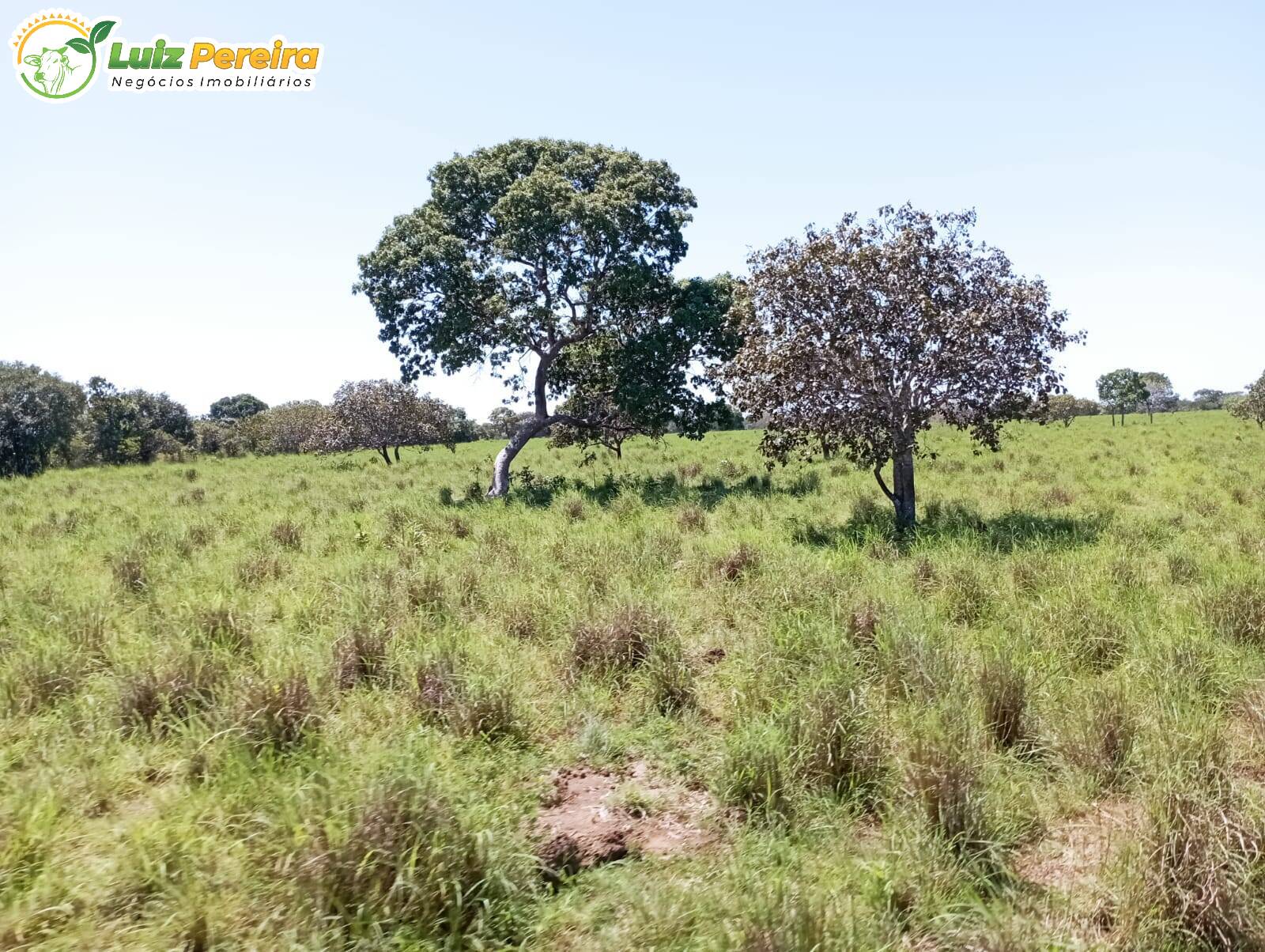 Fazenda à venda, 15972000m² - Foto 16