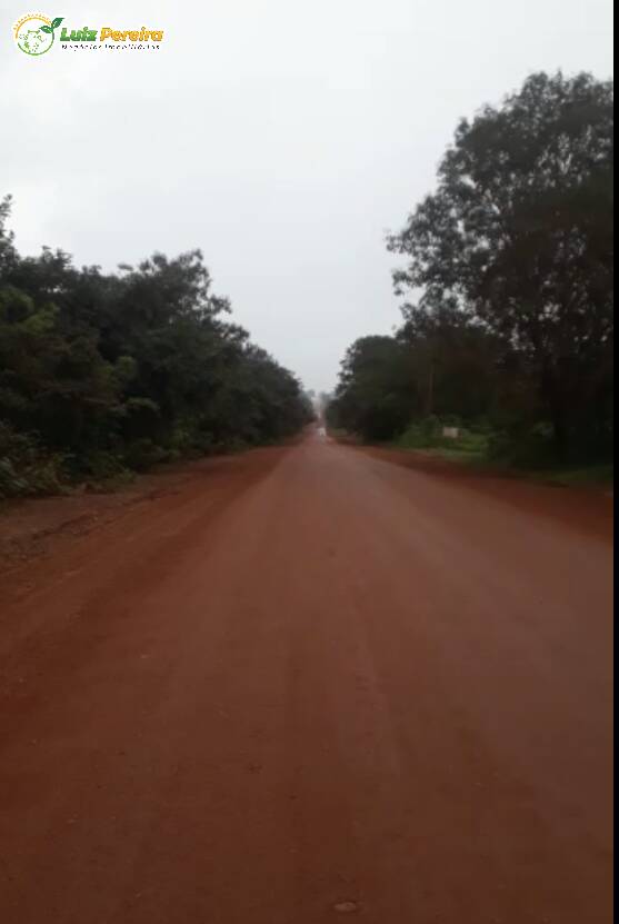 Fazenda à venda, 4000000m² - Foto 8