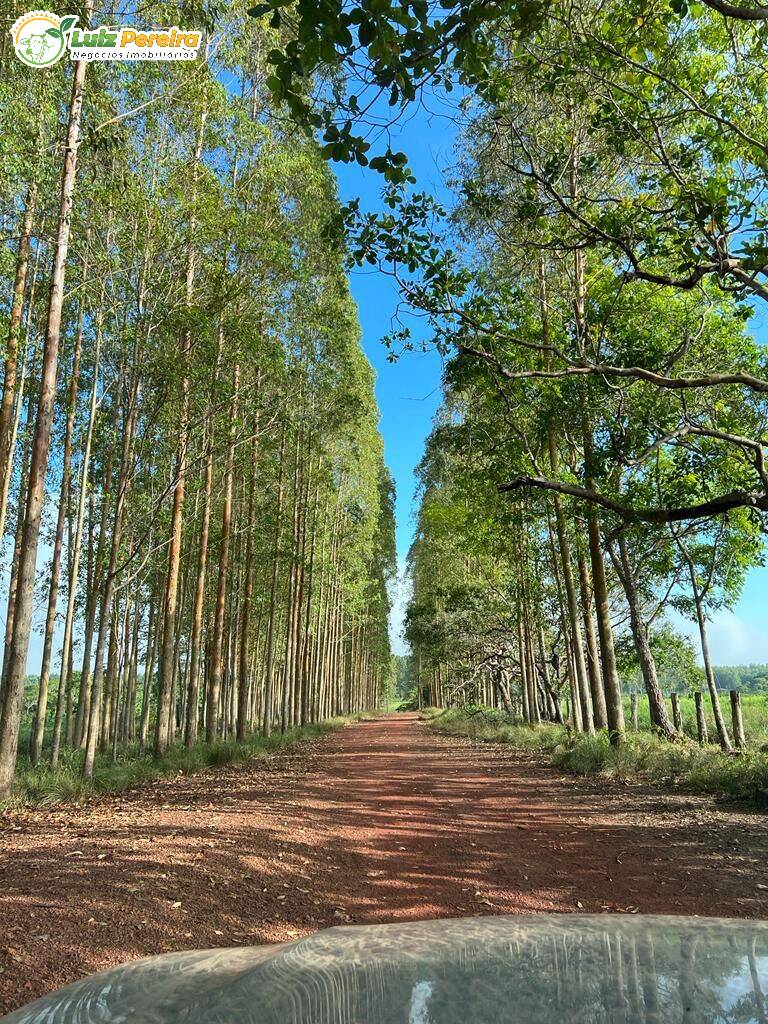 Terreno à venda, 66300000m² - Foto 10