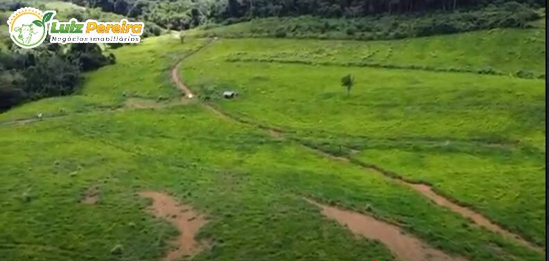 Terreno à venda, 66300000m² - Foto 7