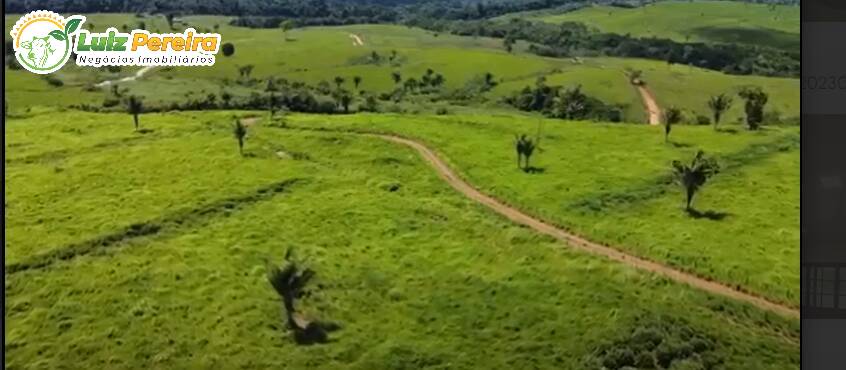 Terreno à venda, 66300000m² - Foto 2