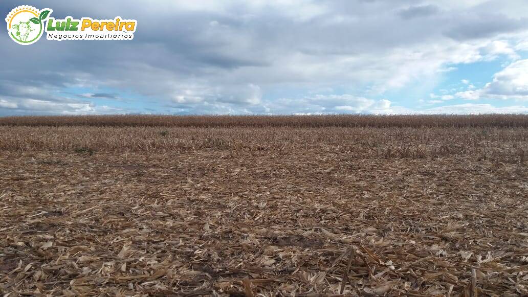 Fazenda à venda, 11800000m² - Foto 8