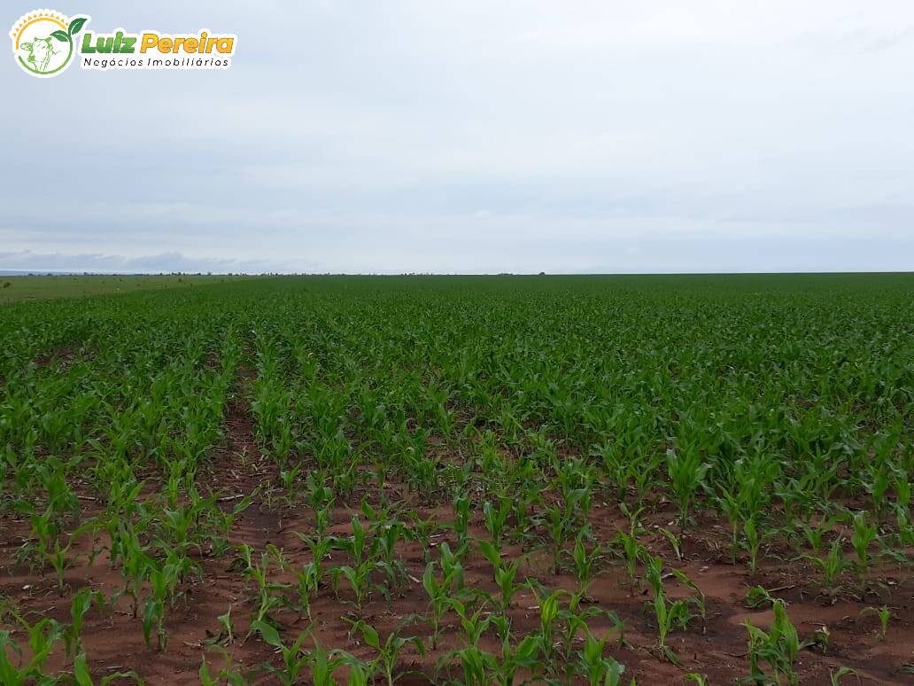 Fazenda à venda, 11800000m² - Foto 5