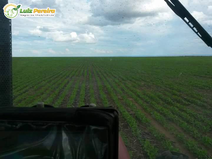 Fazenda à venda, 11800000m² - Foto 6