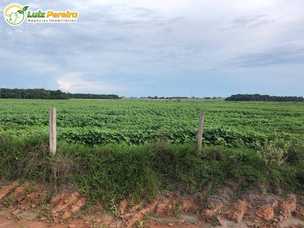 Fazenda à venda, 30201600m² - Foto 6