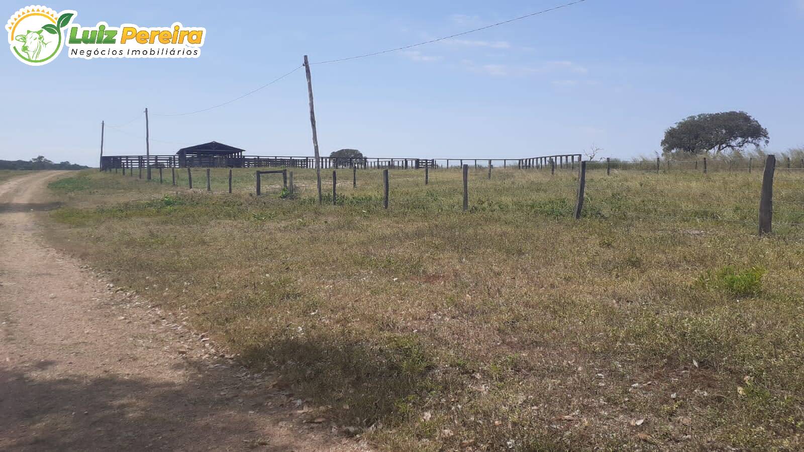 Fazenda à venda, 30201600m² - Foto 26