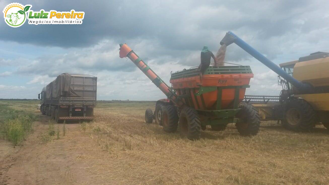 Fazenda à venda, 9100000m² - Foto 29