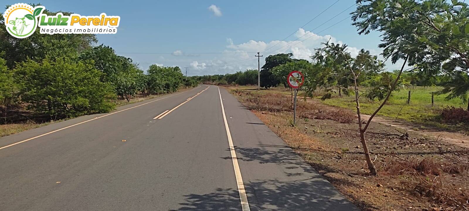 Fazenda à venda, 9100000m² - Foto 16