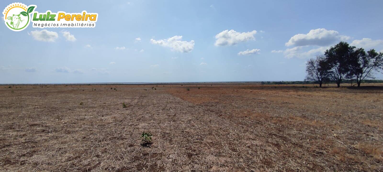 Fazenda à venda, 9100000m² - Foto 23