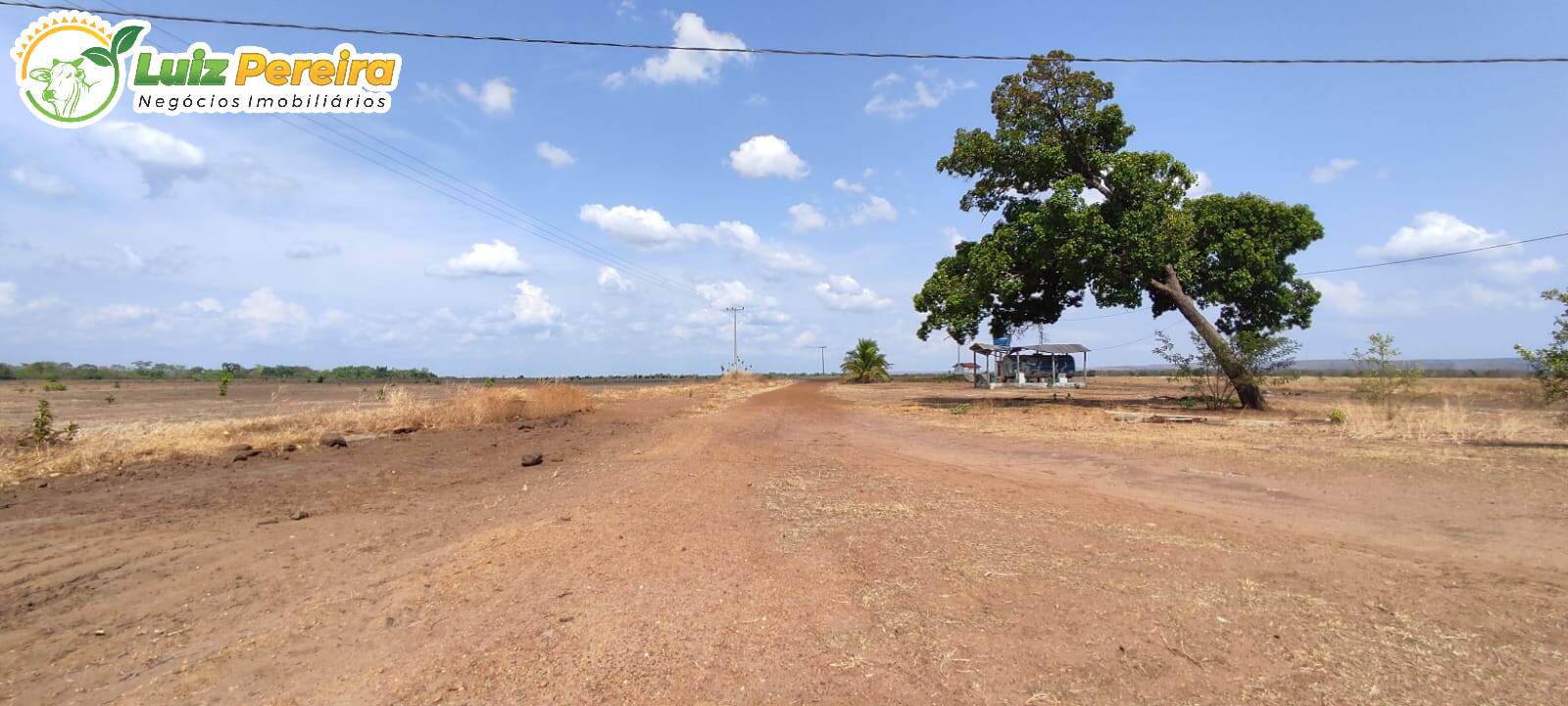 Fazenda à venda, 9100000m² - Foto 17