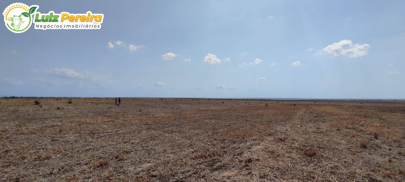 Fazenda à venda, 9100000m² - Foto 22