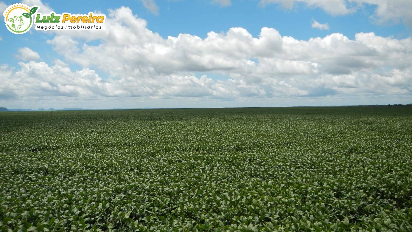 Fazenda à venda, 9100000m² - Foto 7