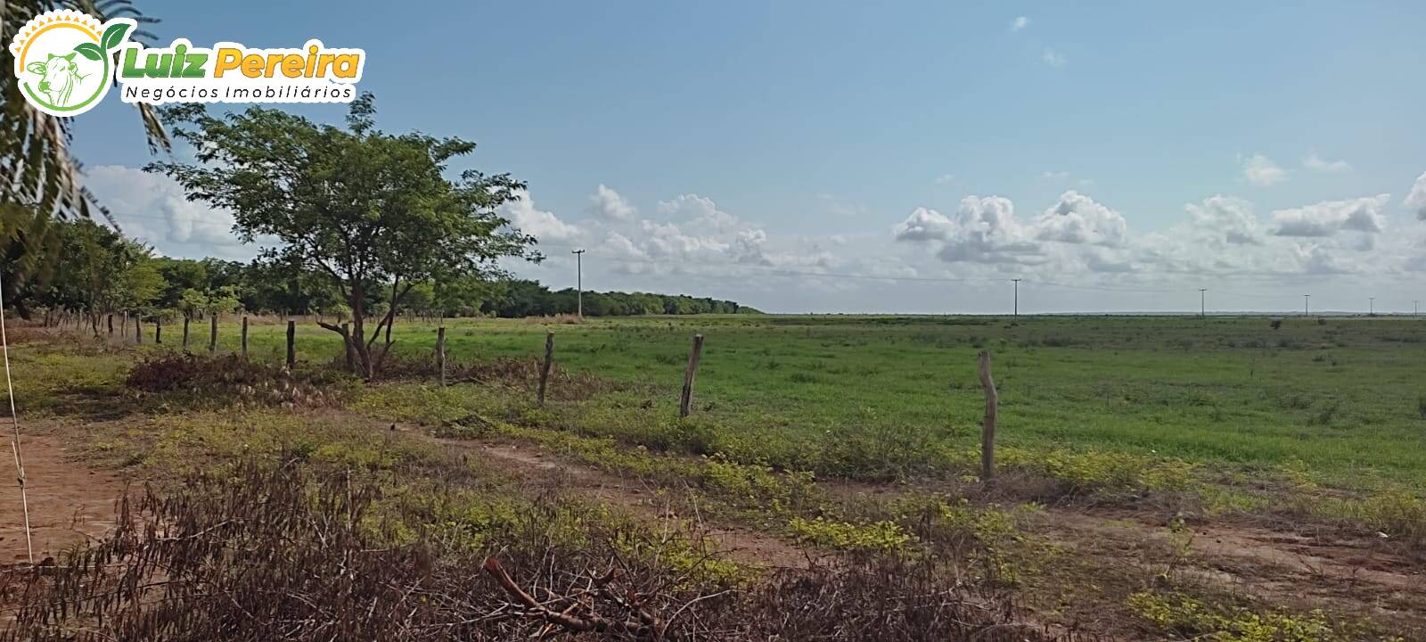 Fazenda-Sítio-Chácara, 910 hectares - Foto 3