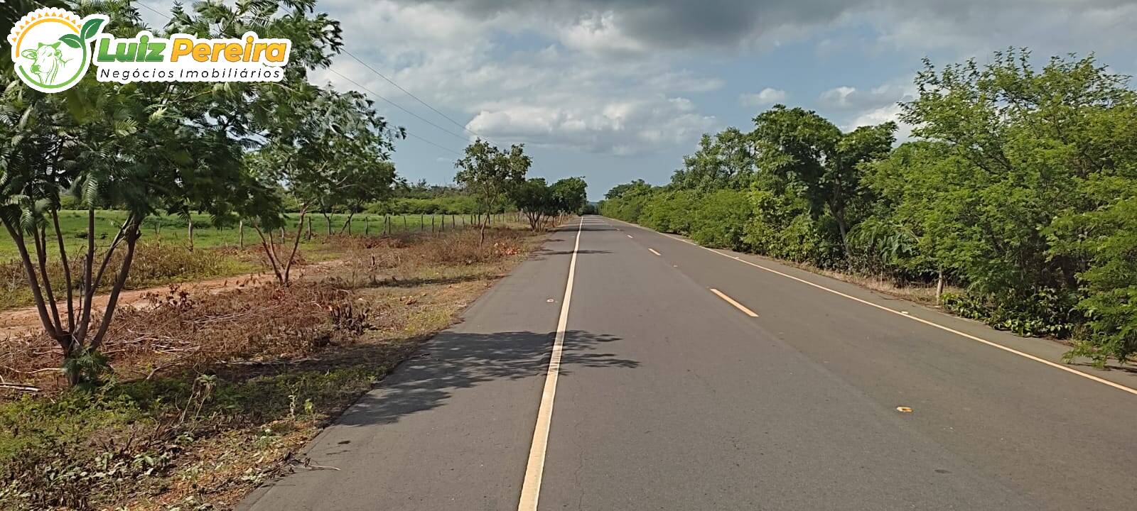 Fazenda à venda, 9100000m² - Foto 13