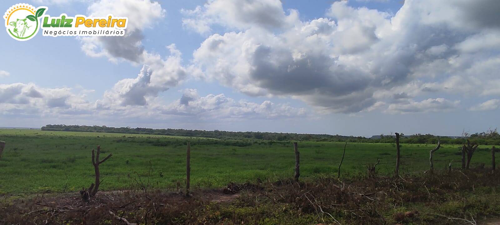 Fazenda à venda, 9100000m² - Foto 5